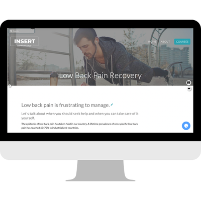 Link to: https://chirocourse.clinicsites.co/collections/low-back-pain-recovery